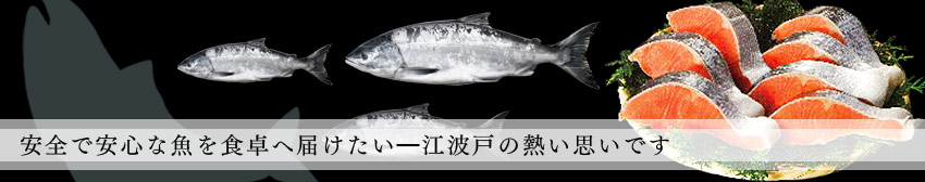 安全で安心な鮭を食卓へ届けたい　江波戸の熱い思いです